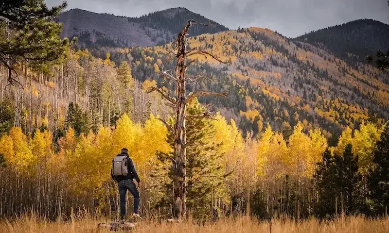 hiker in Flagstaff surrounded by colorful trees