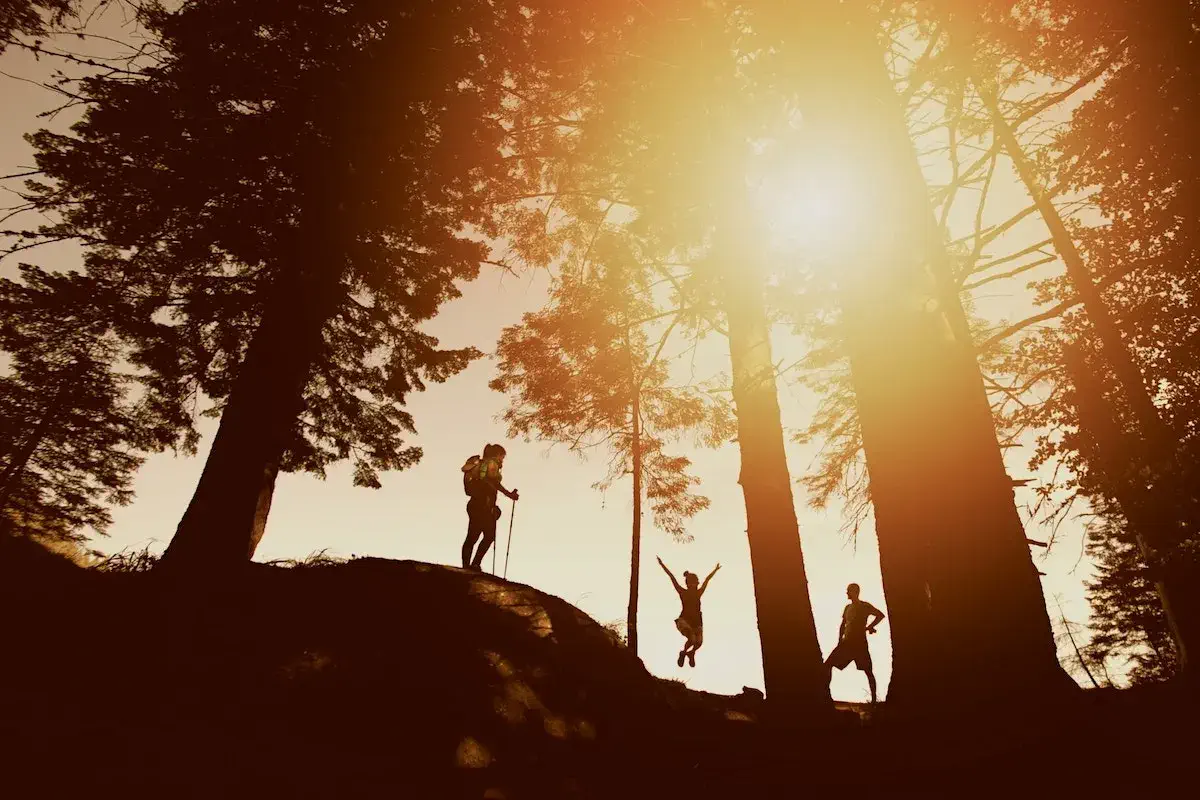 shadow of family at sunset within tall pine trees