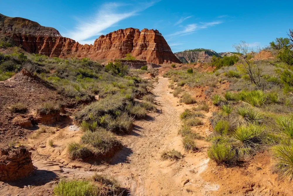 view of Javelina Canyon Trailhead