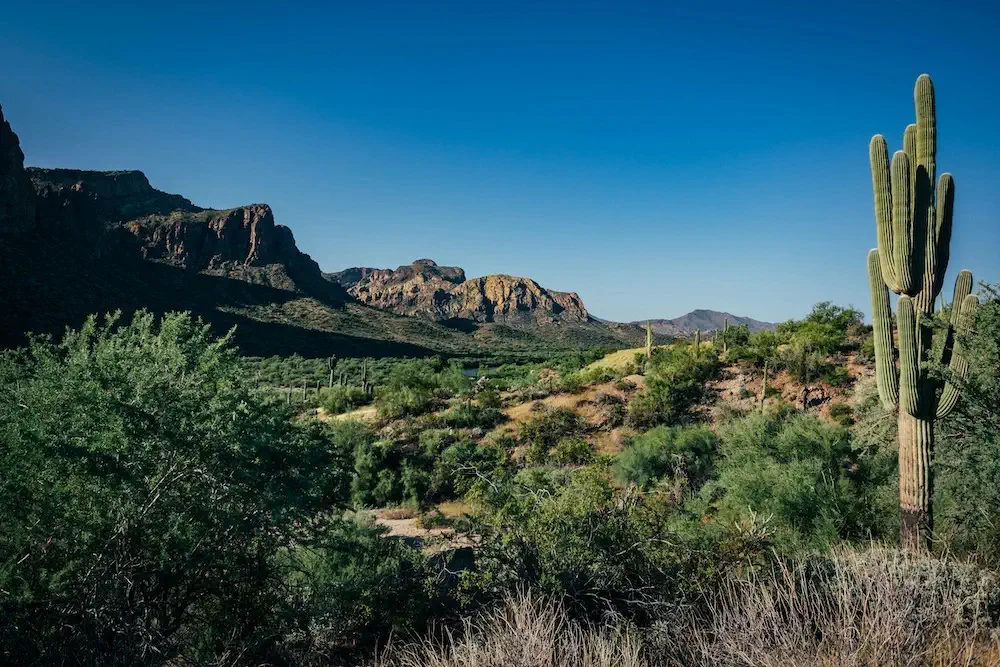 view of Dinosaur Rock