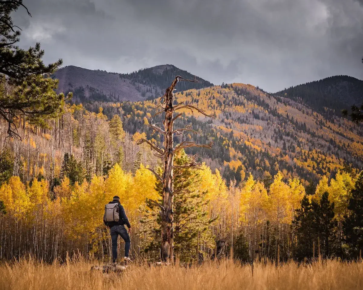 hiker in Flagstaff surrounded by colorful trees